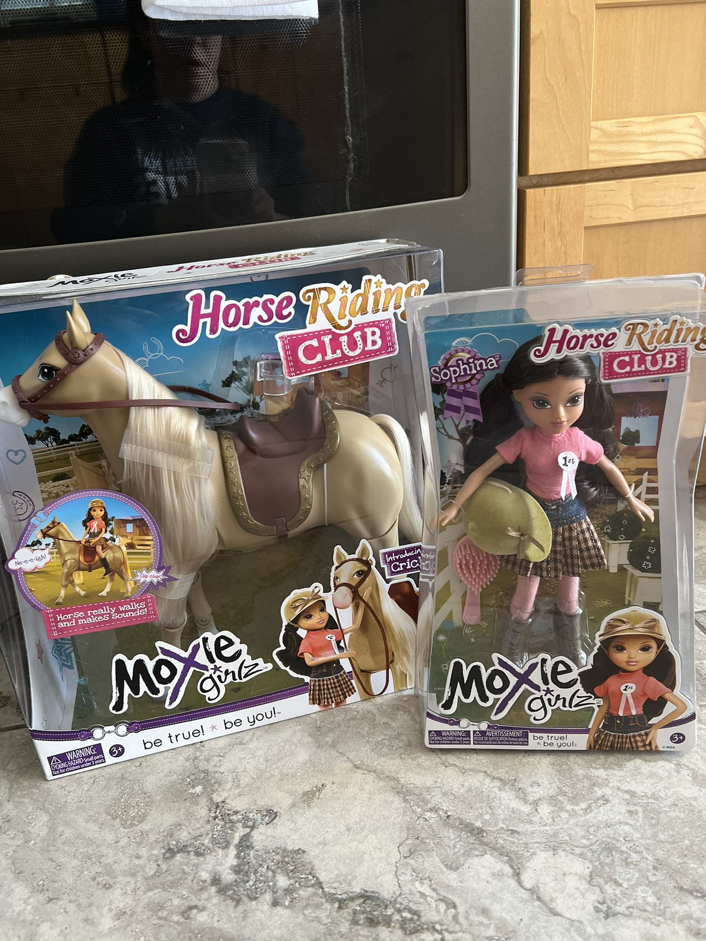 Barbie Doll And Horse - Moxie Gil’s