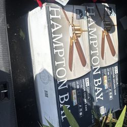 2 Indoor Ceiling Fans