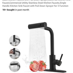 Kitchen Faucets with Pull Down