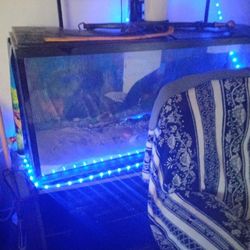 Fish Tank Give Me A Price