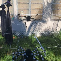 Halloween  Ft Web And Spiders 