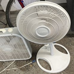 $20 each
