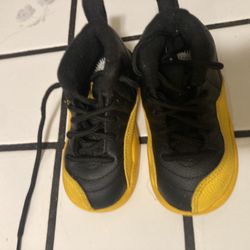Jordan 12 Retro 6c