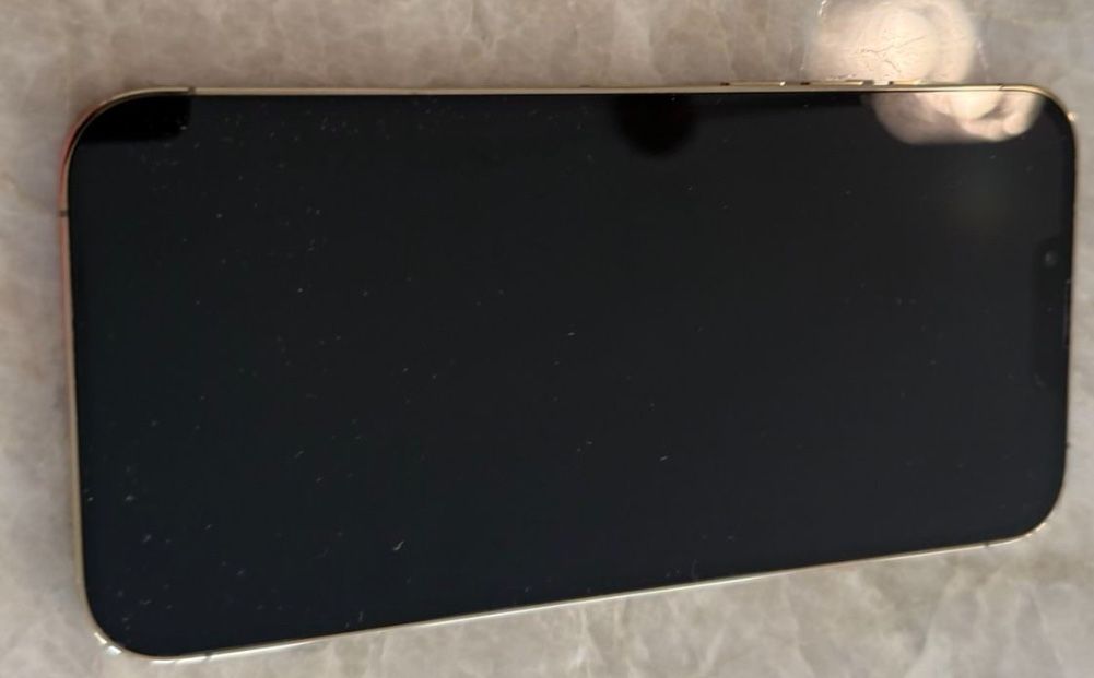 iPhone 13 Pro Max