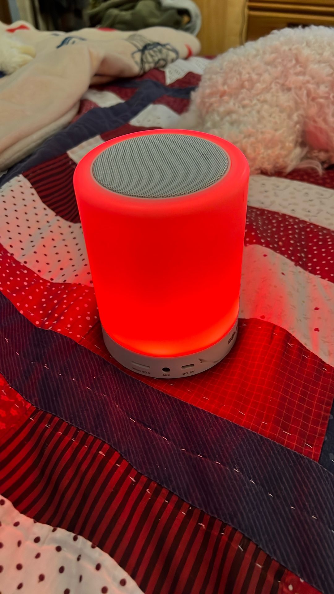 Bluetooth Speaker