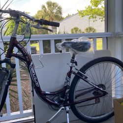 Used Fuji Bike