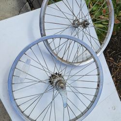 Steel Coaster Bike Wheelset