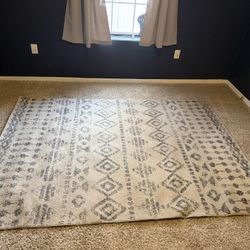 5x8 Area Rug