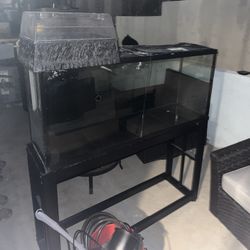 Red Eared Slider Aquarium