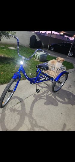3 Wheeler