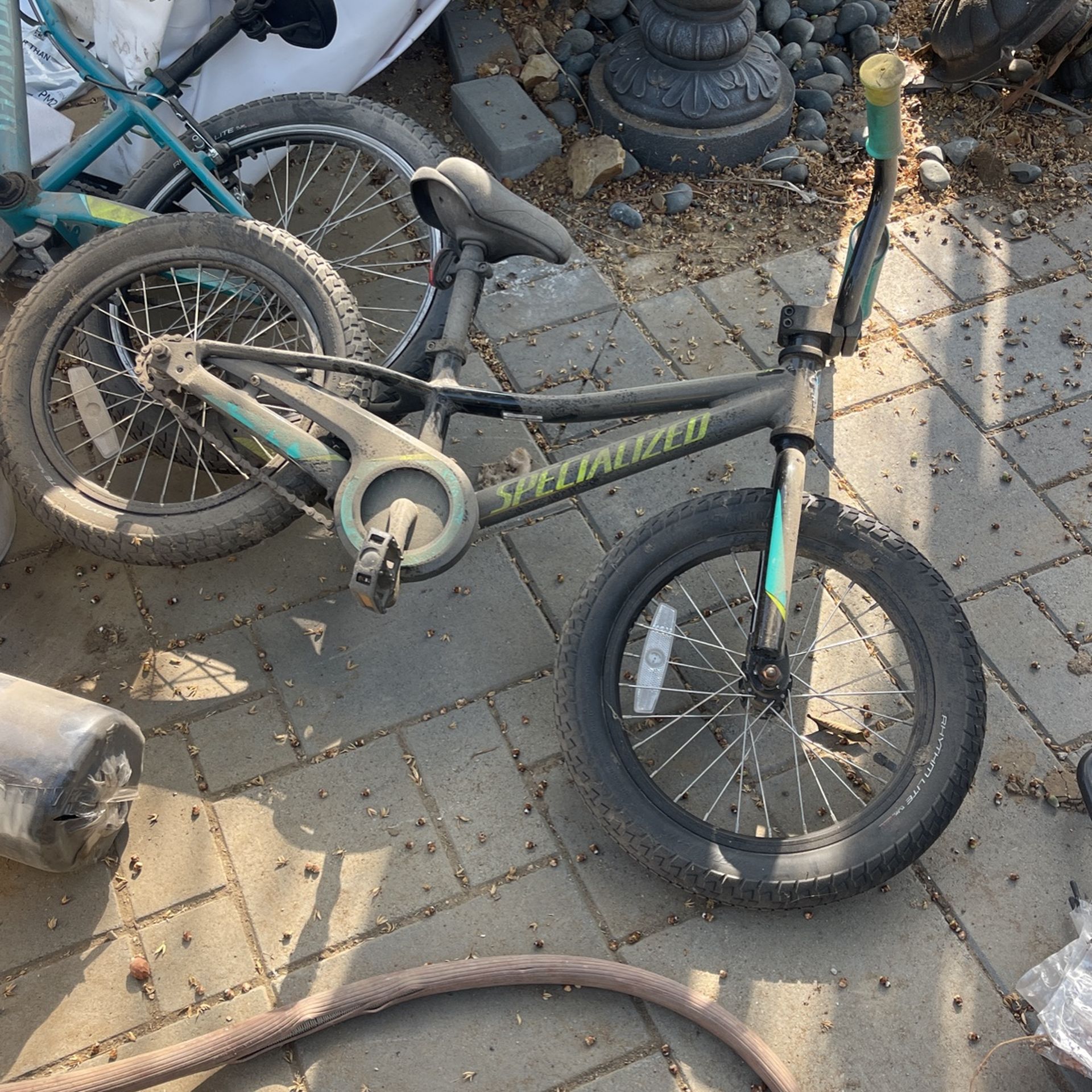 Specialized Bike 