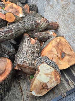 2 trailers with pecan wood freshly cut