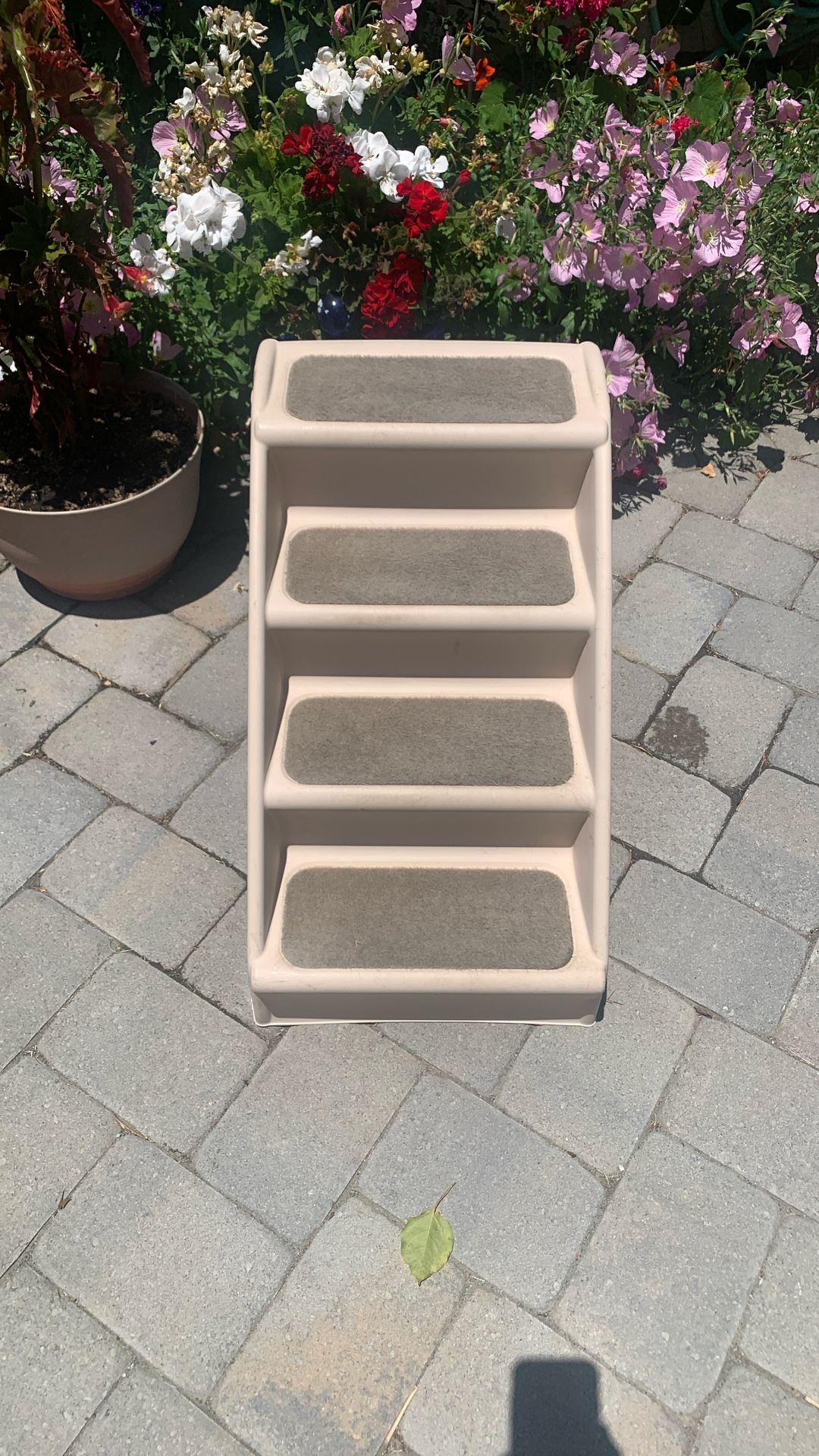 Dog Stairs
