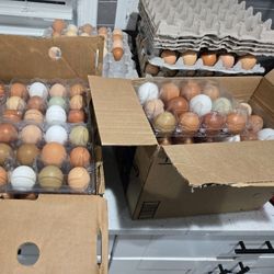 Fresh Farm Eggs