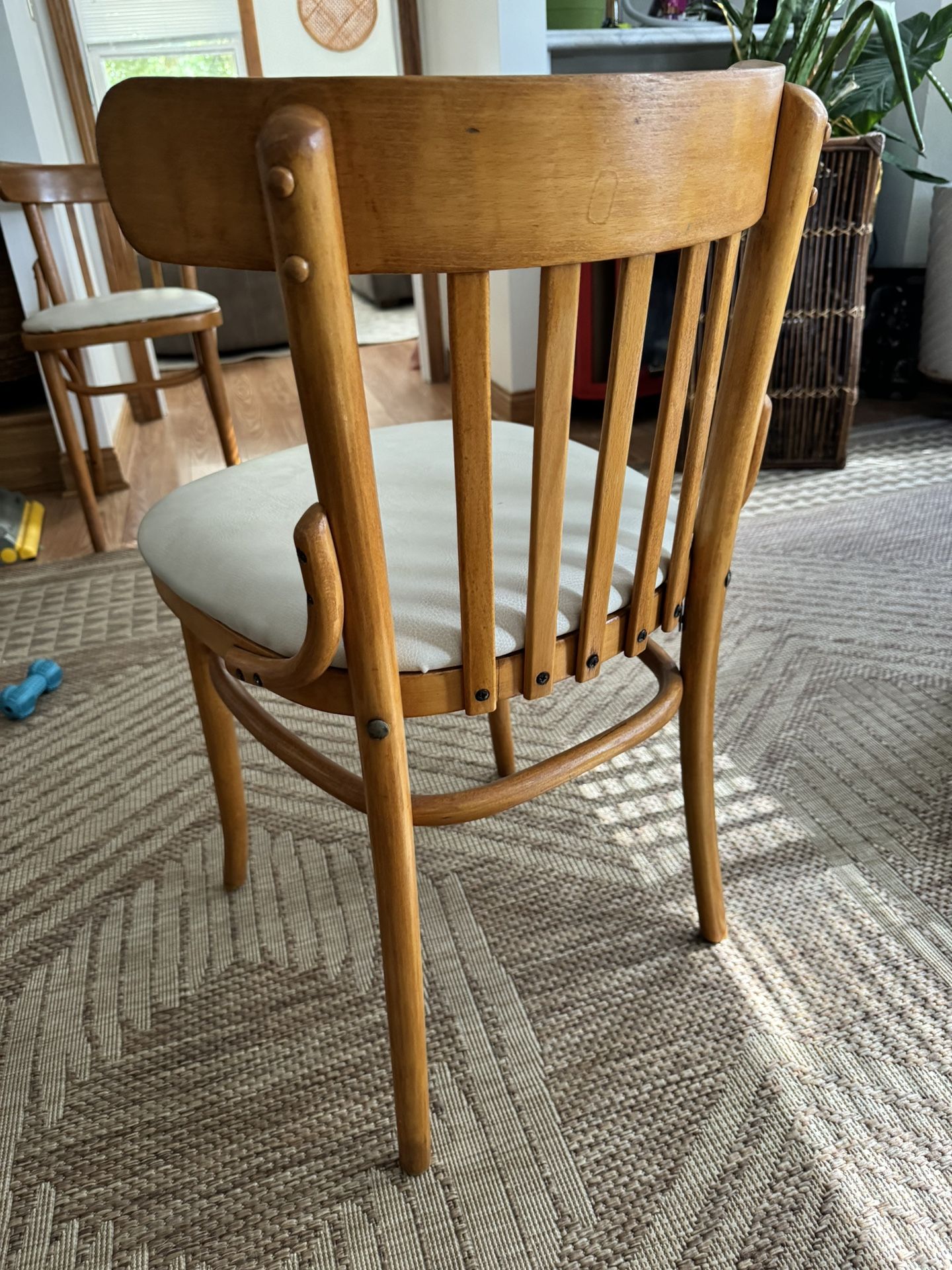 Antique Refinished 6 Chairs From Chech Republic