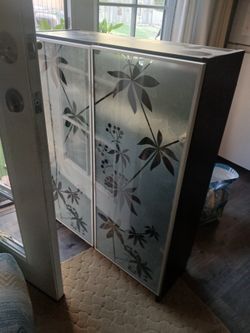2 Door Cabinet