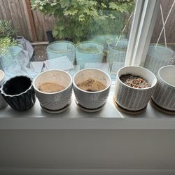 Indoor Plant Holder