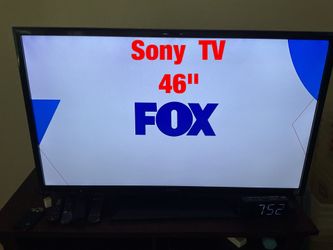 46"  Sony  T. V  (with remote)   -  $95