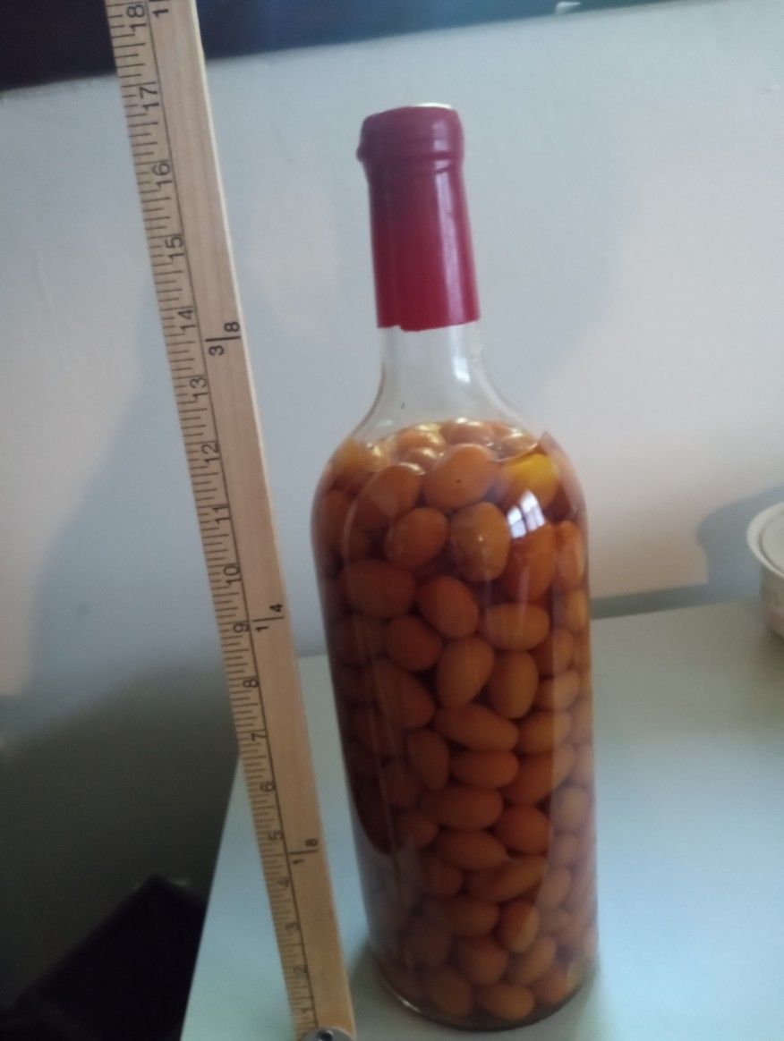 Large Apothecary Glass Jars -2