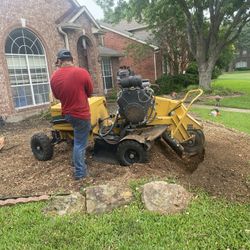 STUMP GRINDING