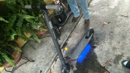 Segway Ninebot Electric Kick Scooter