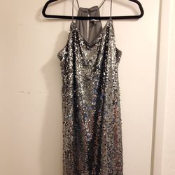 Silver Sequin Dress (Express, Size: S)