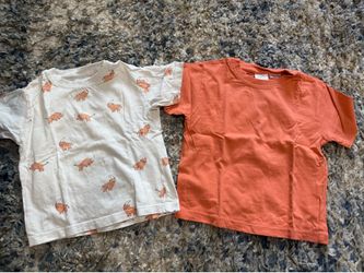 Zara toddler shirt