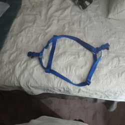 A All Blue Large Dog Harness That's Nearly Brand New