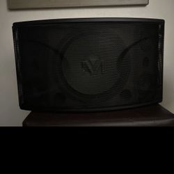 Subwoofer 600 Watts 