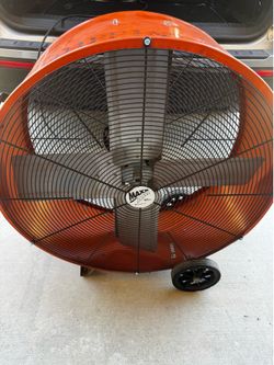 Fan