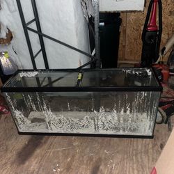 55 Gallon Tank With Stand And Also I Have A Cricket Phone For Sell