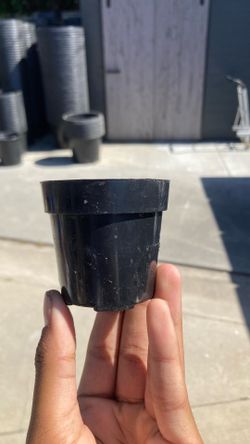 32 pieces seed starting tray - used