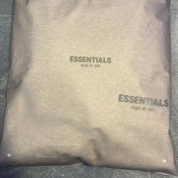 Essentials Hoodie, Gray, Medium 