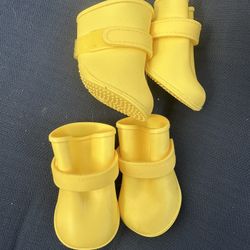 Dog Water Shoes