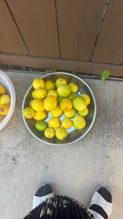  💯 Organic Seedless Not Acidic Lemons For Lemonade 