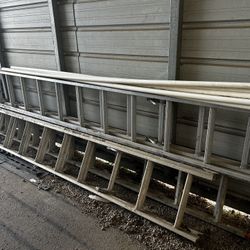 Painting Ladders