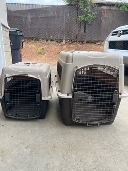kennels