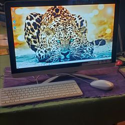 HP 24in Touchscreen All In One Windows 10