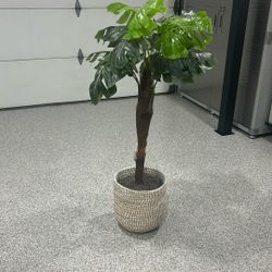 Faux Plant In Basket