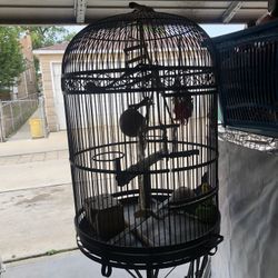 Bird Cage 