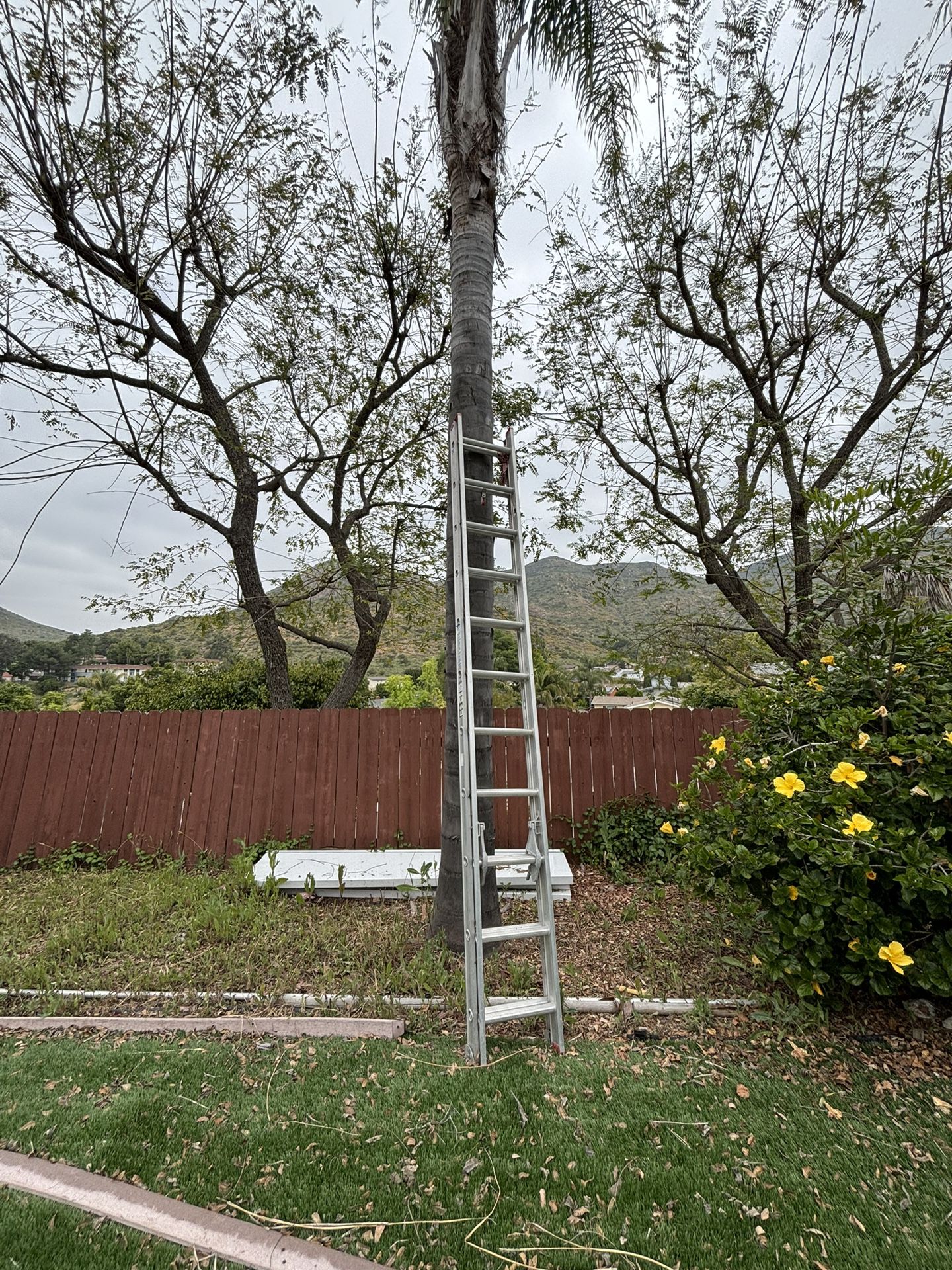 22’ Aluminum Extension Ladder 