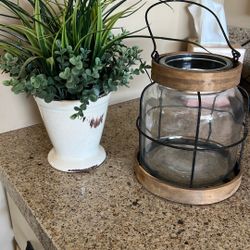 Plant & Lantern Vase