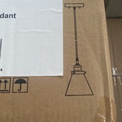 1-Light Pendant