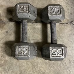 35lb Dumbbells 