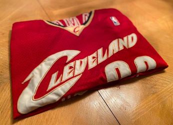 Lebron James Rookie Jersey