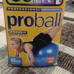 Exercise Ball 55cm Brand New