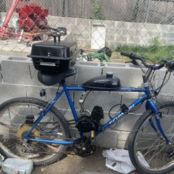 Motor Bike