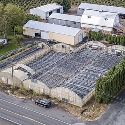 Greenhouses And Tables