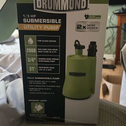 1/3 HP Drummond Submersible utility Pump