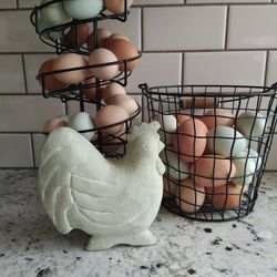 Fresh Eggs